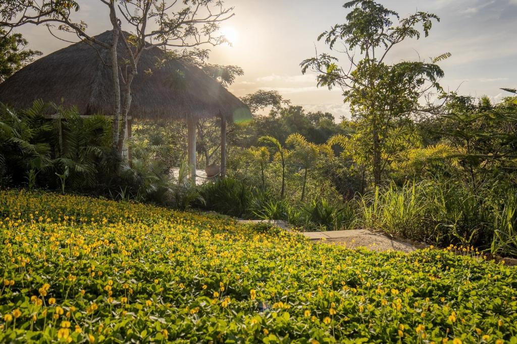 The Mesare Eco Resort