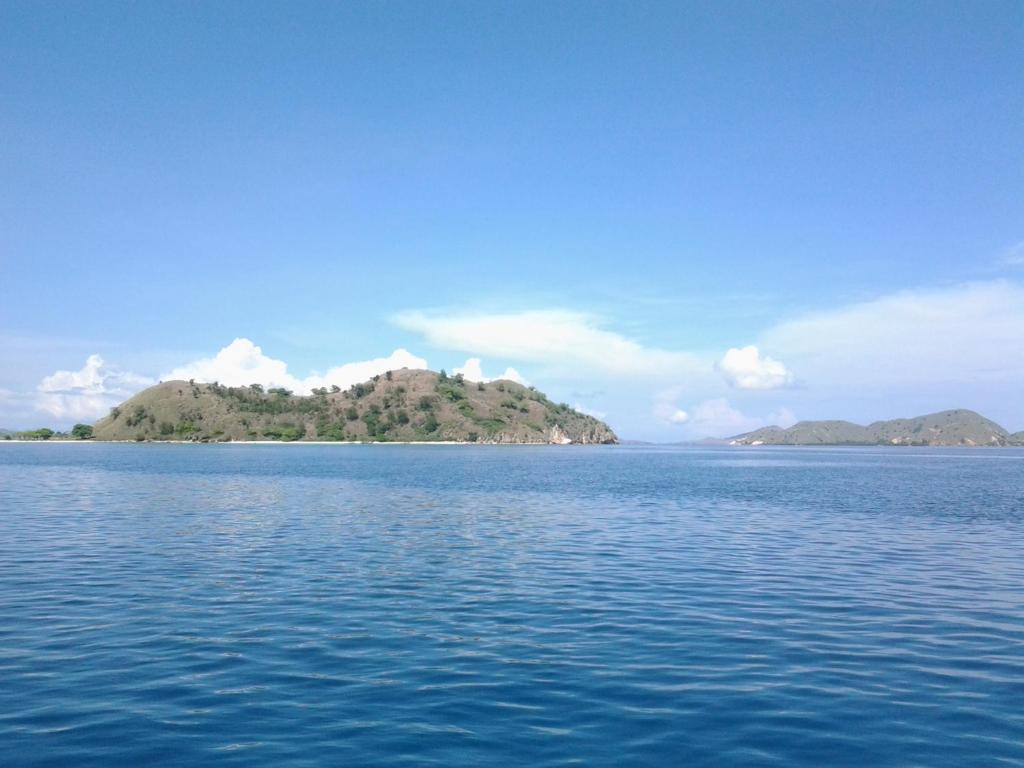 L Bajo Hotel